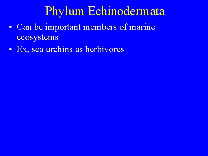 Phylum Echinodermata • Can be important members of marine ecosystems • Ex, sea urchins Phylum Echinodermata • Can be important members of marine ecosystems • Ex, sea urchins
