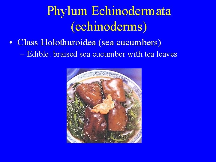 Phylum Echinodermata (echinoderms) • Class Holothuroidea (sea cucumbers) – Edible: braised sea cucumber with Phylum Echinodermata (echinoderms) • Class Holothuroidea (sea cucumbers) – Edible: braised sea cucumber with
