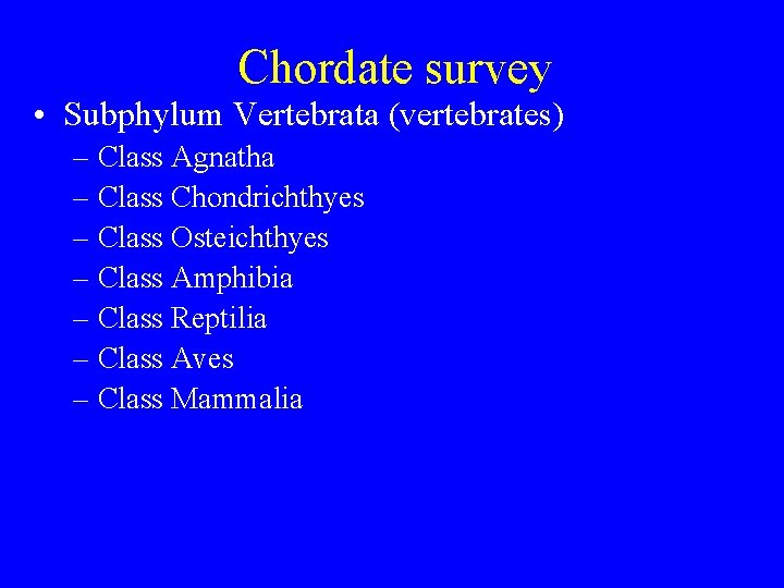 Chordate survey • Subphylum Vertebrata (vertebrates) – Class Agnatha – Class Chondrichthyes – Class Chordate survey • Subphylum Vertebrata (vertebrates) – Class Agnatha – Class Chondrichthyes – Class