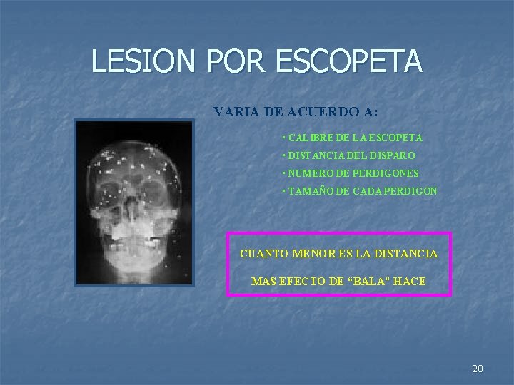 LESION POR ESCOPETA VARIA DE ACUERDO A: • CALIBRE DE LA ESCOPETA • DISTANCIA
