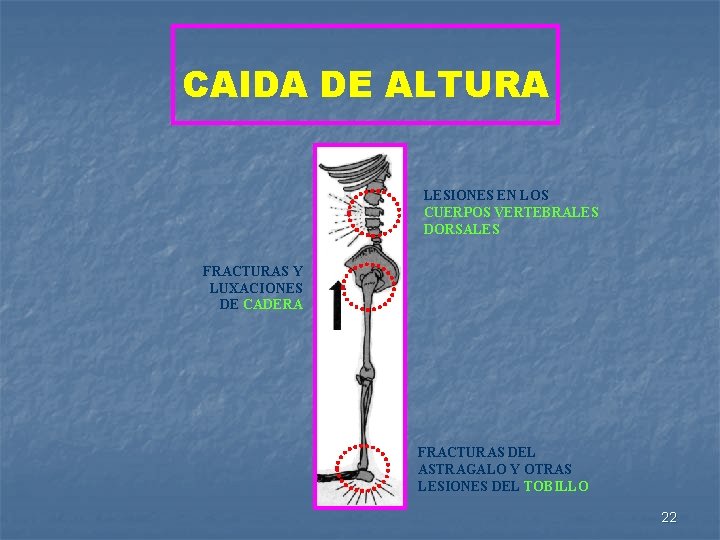 CAIDA DE ALTURA LESIONES EN LOS CUERPOS VERTEBRALES DORSALES FRACTURAS Y LUXACIONES DE CADERA
