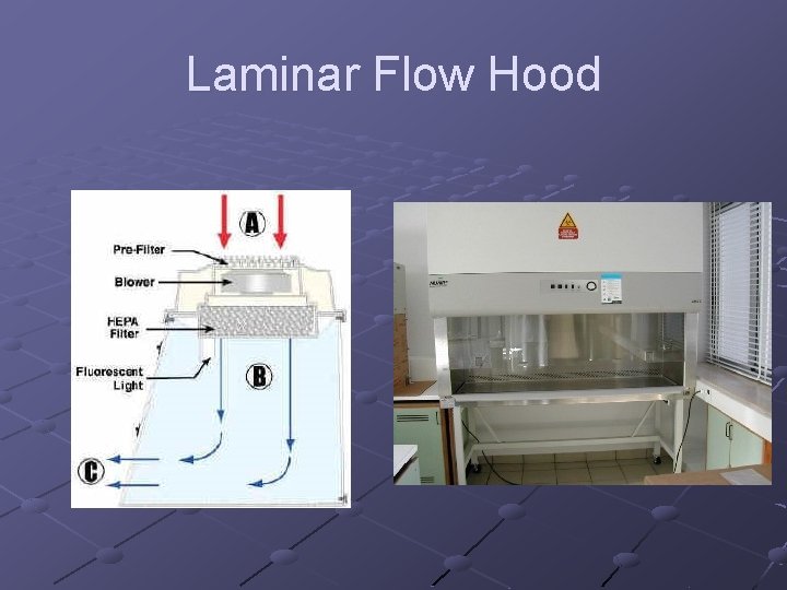 Laminar Flow Hood 