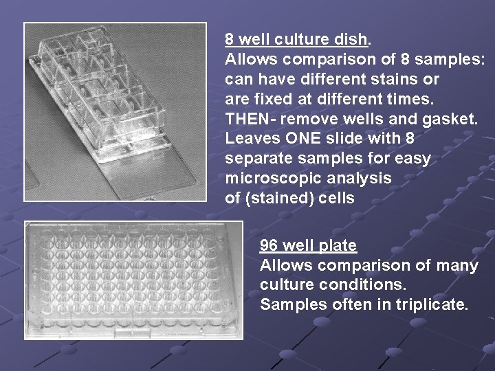 8 well culture dish. Allows comparison of 8 samples: can have different stains or