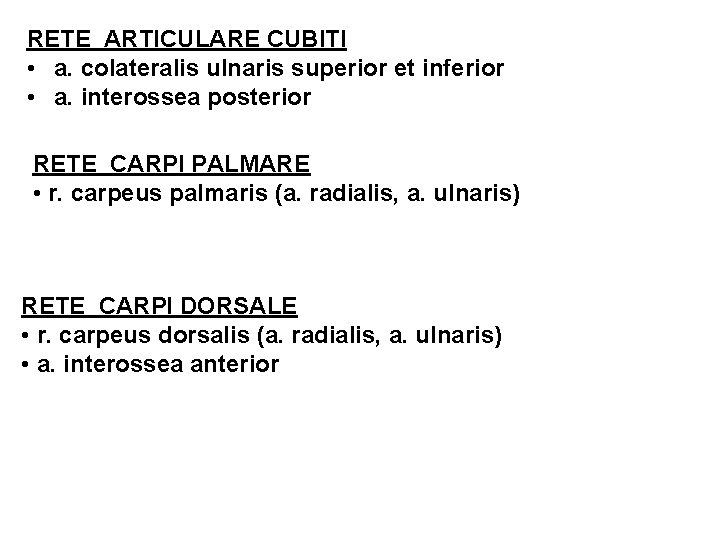 RETE ARTICULARE CUBITI • a. colateralis ulnaris superior et inferior • a. interossea posterior