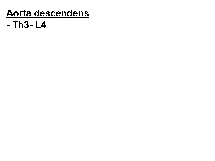 Aorta descendens - Th 3 - L 4 