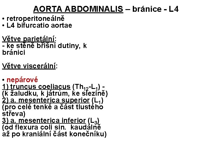 AORTA ABDOMINALIS – bránice - L 4 • retroperitoneálně • L 4 bifurcatio aortae