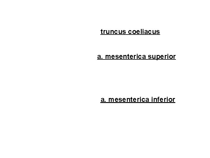 truncus coeliacus a. mesenterica superior a. mesenterica inferior 