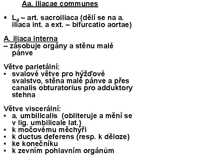  Aa. iliacae communes § L 4 – art. sacroiliaca (dělí se na a.