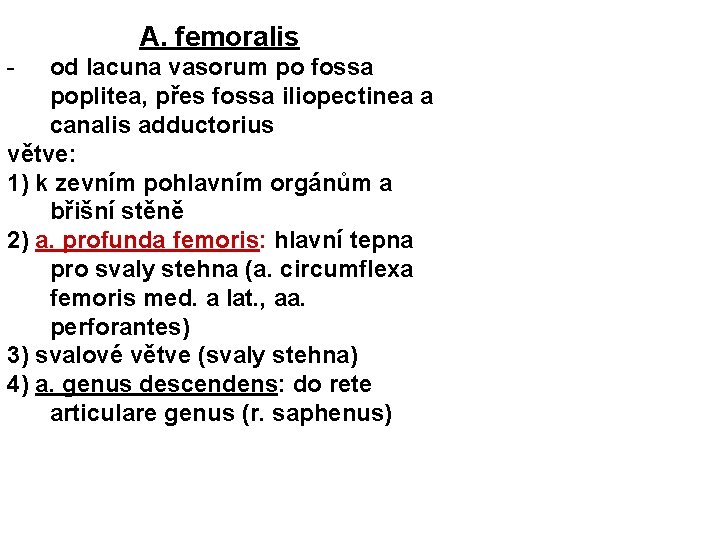 A. femoralis - od lacuna vasorum po fossa poplitea, přes fossa iliopectinea a canalis
