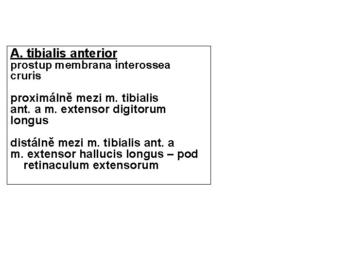 A. tibialis anterior prostup membrana interossea cruris proximálně mezi m. tibialis ant. a m.