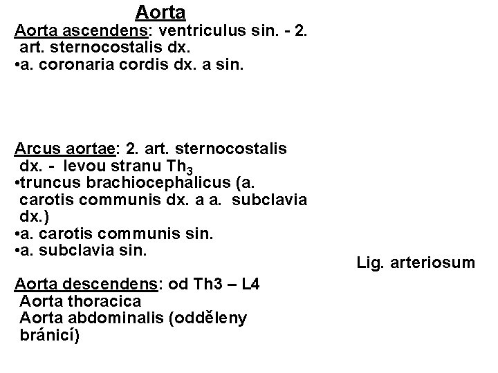 Aorta ascendens: ventriculus sin. - 2. art. sternocostalis dx. • a. coronaria cordis dx.