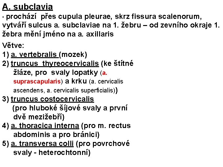 A. subclavia • prochází přes cupula pleurae, skrz fissura scalenorum, vytváří sulcus a. subclaviae