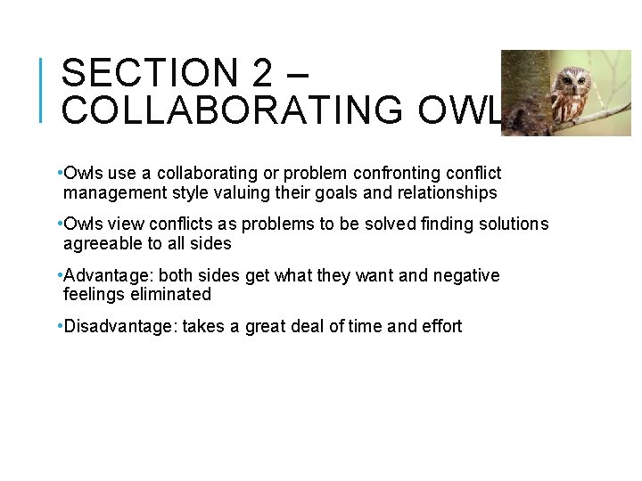 SECTION 2 – COLLABORATING OWL • Owls use a collaborating or problem confronting conflict