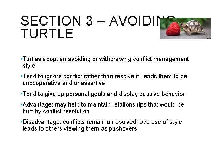 SECTION 3 – AVOIDING TURTLE • Turtles adopt an avoiding or withdrawing conflict management