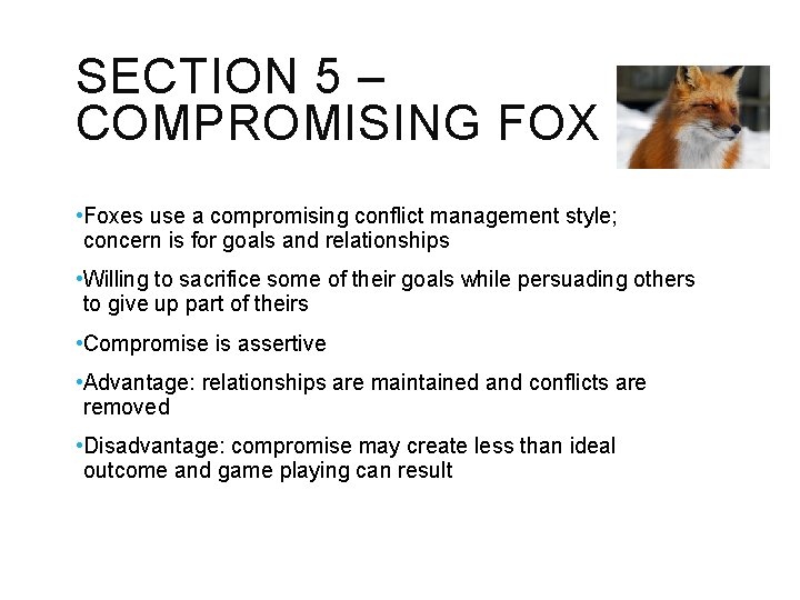 SECTION 5 – COMPROMISING FOX • Foxes use a compromising conflict management style; concern