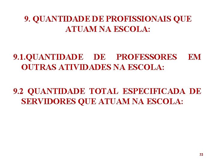 9. QUANTIDADE DE PROFISSIONAIS QUE ATUAM NA ESCOLA: 9. 1. QUANTIDADE DE PROFESSORES OUTRAS