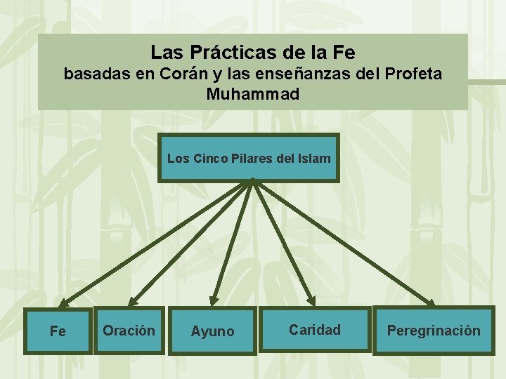 Las Prácticas de la Fe basadas en Corán y las enseñanzas del Profeta Muhammad