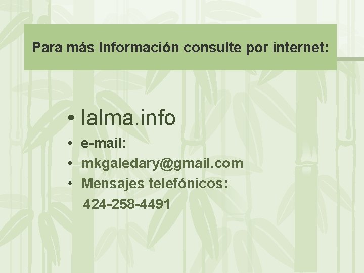 Para más Información consulte por internet: • lalma. info • e-mail: • mkgaledary@gmail. com