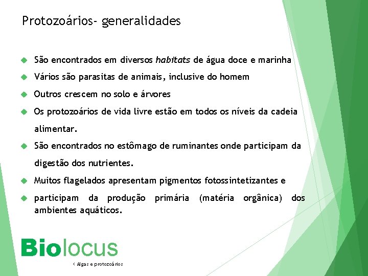 Protozoários- generalidades São encontrados em diversos habitats de água doce e marinha Vários são