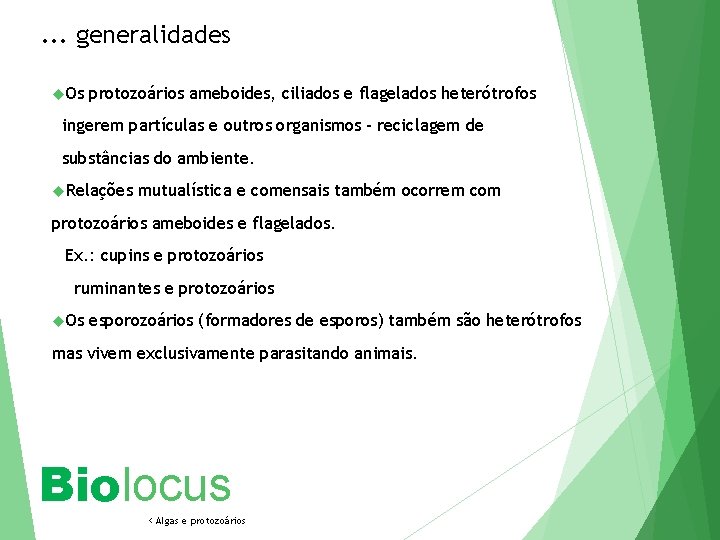 . . . generalidades Os protozoários ameboides, ciliados e flagelados heterótrofos ingerem partículas e