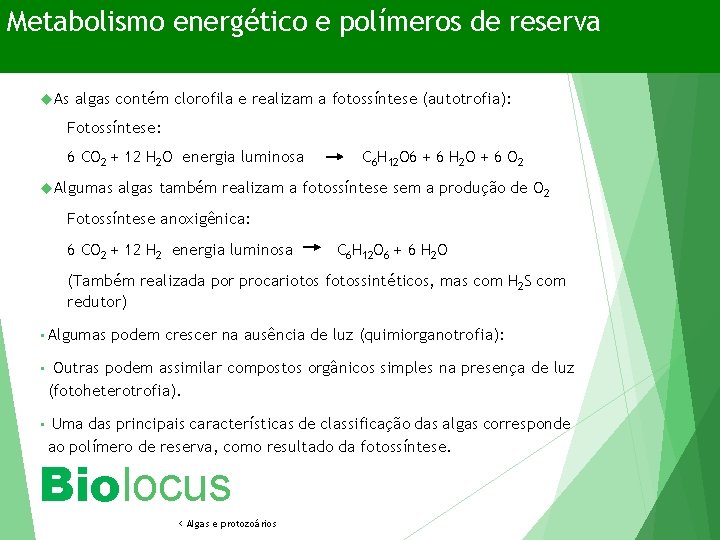 Metabolismo energético e polímeros de reserva As algas contém clorofila e realizam a fotossíntese