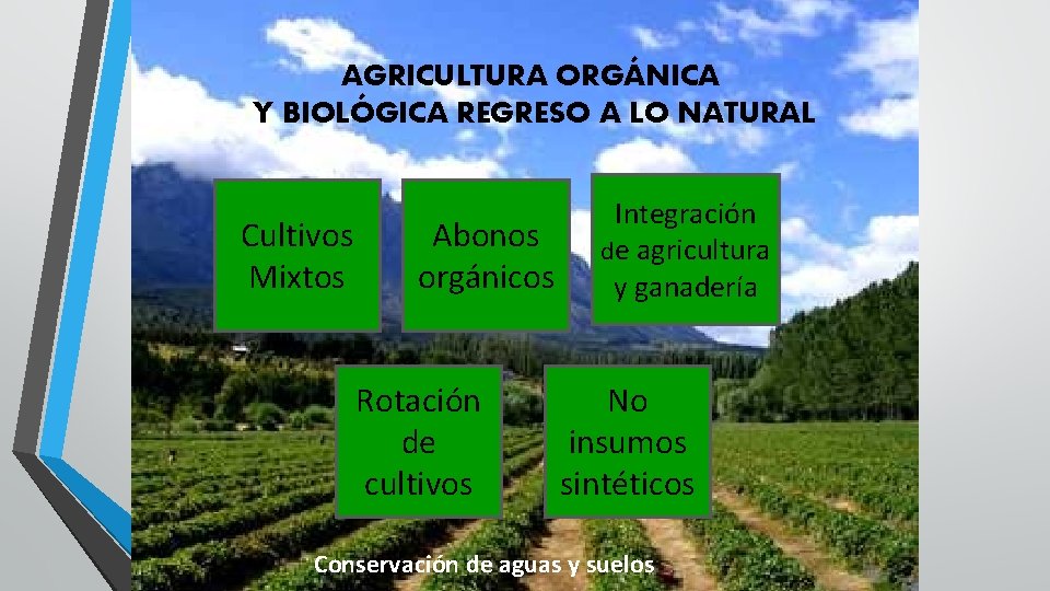 AGRICULTURA ORGÁNICA Y BIOLÓGICA REGRESO A LO NATURAL Cultivos Mixtos Abonos orgánicos Rotación de