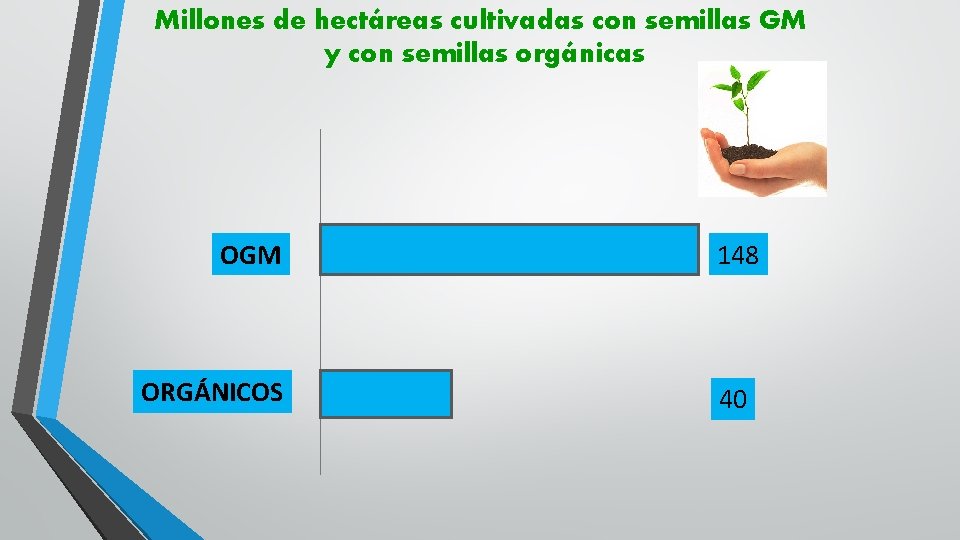 Millones de hectáreas cultivadas con semillas GM y con semillas orgánicas OGM ORGÁNICOS 148