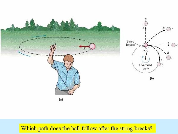 Which path does the ball follow after the string breaks? 