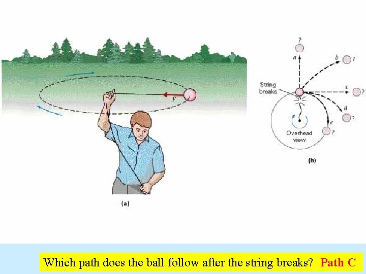 Which path does the ball follow after the string breaks? Path C 