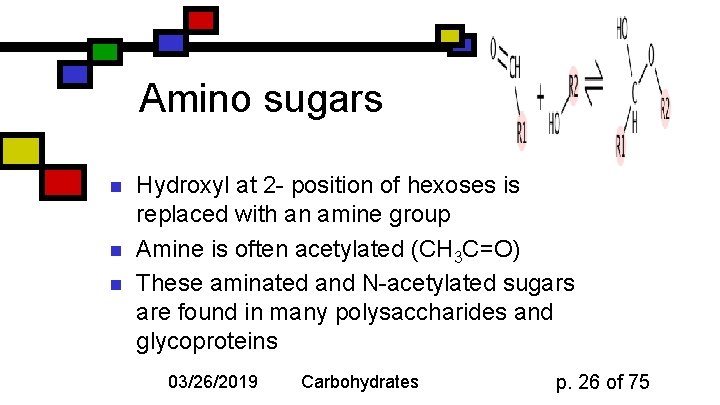 Amino sugars n n n Hydroxyl at 2 - position of hexoses is replaced