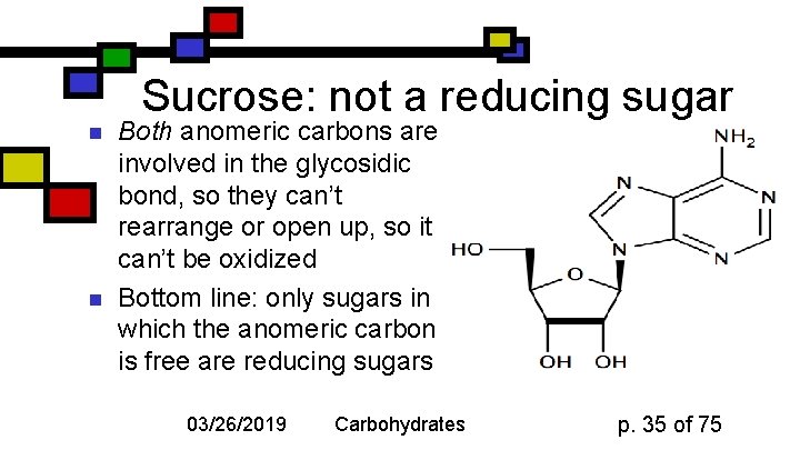 Sucrose: not a reducing sugar n n Both anomeric carbons are involved in the