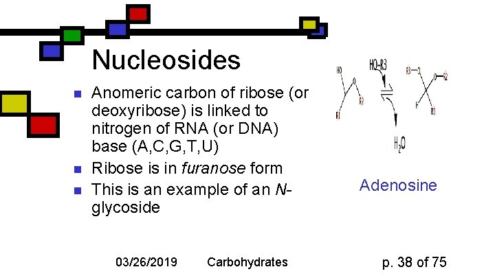 Nucleosides n n n Anomeric carbon of ribose (or deoxyribose) is linked to nitrogen