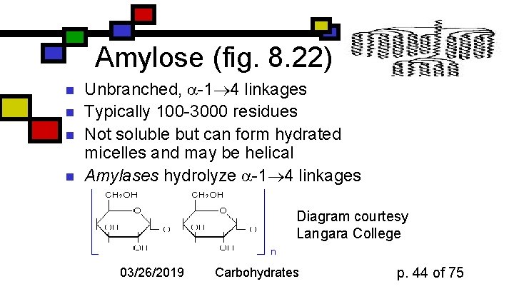 Amylose (fig. 8. 22) n n Unbranched, -1 4 linkages Typically 100 -3000 residues