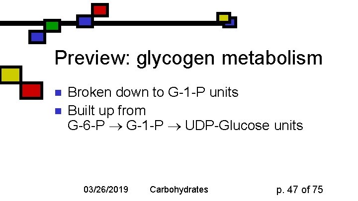 Preview: glycogen metabolism n n Broken down to G-1 -P units Built up from