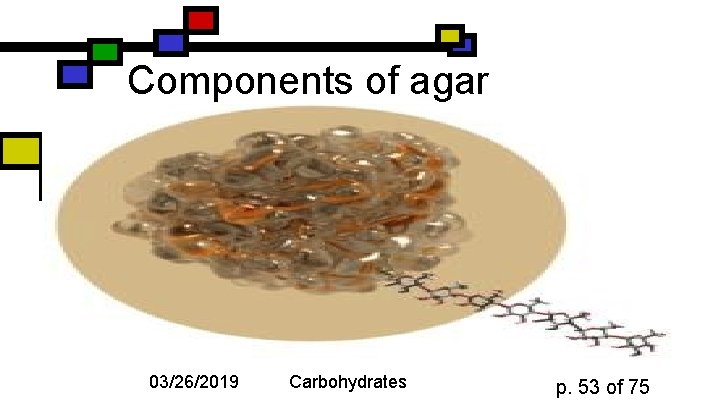 Components of agar 03/26/2019 Carbohydrates p. 53 of 75 