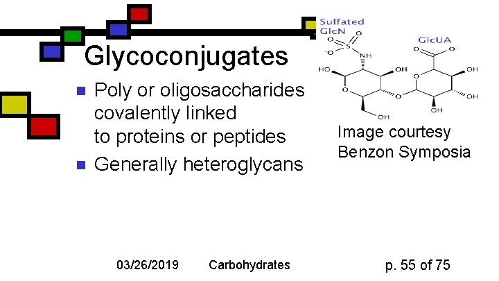 Glycoconjugates n n Poly or oligosaccharides covalently linked to proteins or peptides Generally heteroglycans