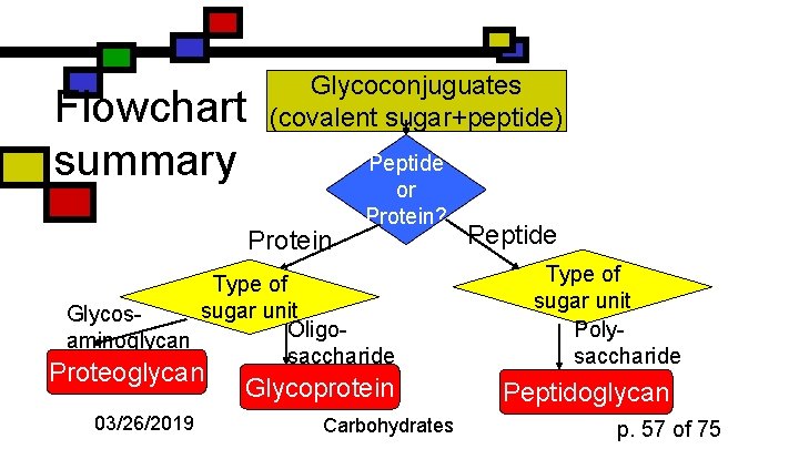 Flowchart summary Glycoconjuguates (covalent sugar+peptide) Protein Peptide or Protein? Type of sugar unit Glycos.