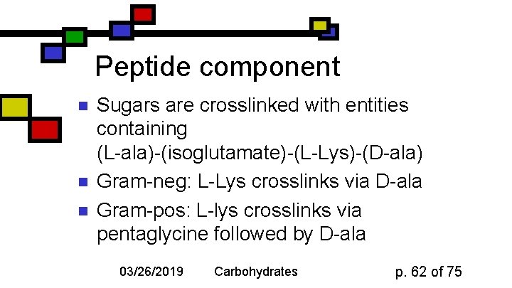 Peptide component n n n Sugars are crosslinked with entities containing (L-ala)-(isoglutamate)-(L-Lys)-(D-ala) Gram-neg: L-Lys