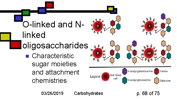 O-linked and Nlinked oligosaccharides n Characteristic sugar moieties and attachment chemistries 03/26/2019 Carbohydrates p.