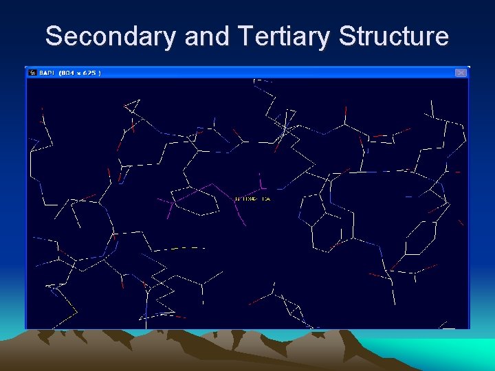 Secondary and Tertiary Structure 