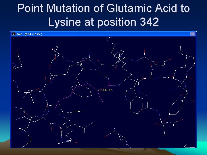 Point Mutation of Glutamic Acid to Lysine at position 342 