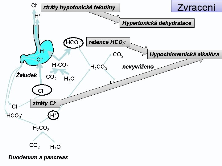 Cl- Zvracení ztráty hypotonické tekutiny H+ Hypertonická dehydratace HCO 3 - retence HCO 3