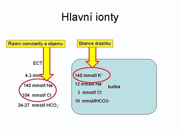 Hlavní ionty Řízení osmolarity a objemu Bilance draslíku ECT 4, 3 mmol/l K+ 140