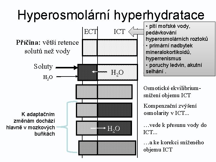 Hyperosmolární hyperhydratace ECT ICT Příčina: větší retence solutů než vody Soluty H 2 O