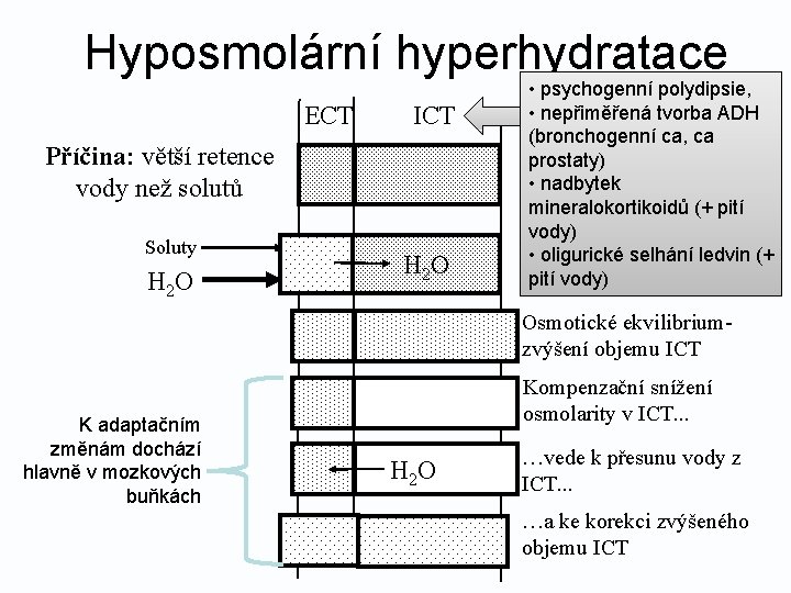 Hyposmolární hyperhydratace ECT ICT Příčina: větší retence vody než solutů Soluty H 2 O