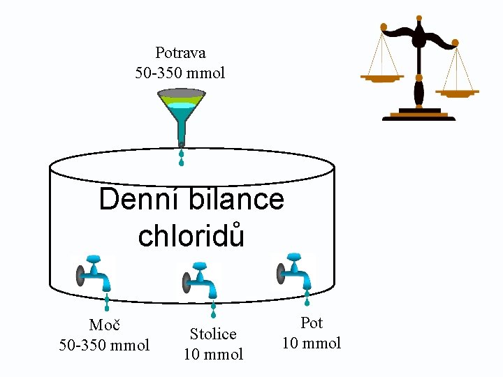 Potrava 50 -350 mmol Denní bilance chloridů Moč 50 -350 mmol Stolice 10 mmol