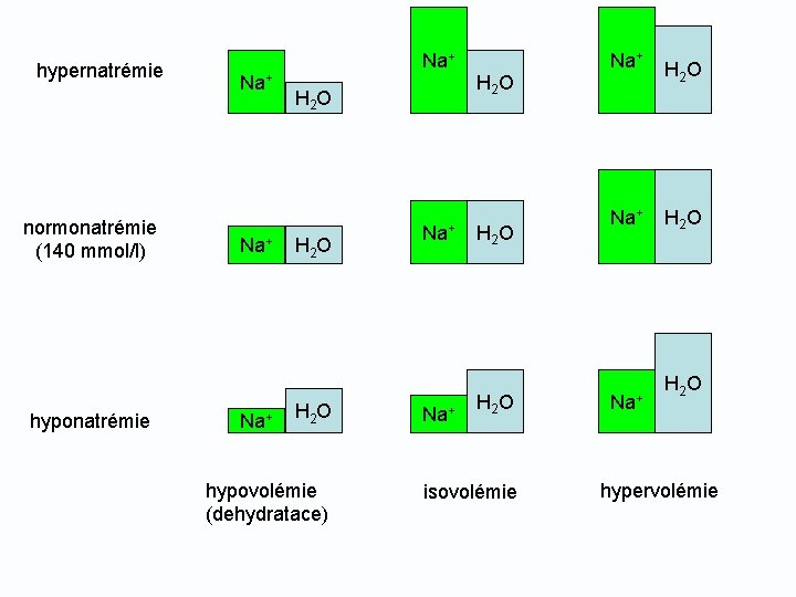 hypernatrémie normonatrémie (140 mmol/l) hyponatrémie Na+ Na+ H 2 O hypovolémie (dehydratace) Na+ H