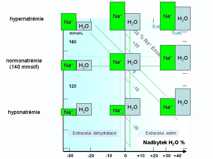 hypernatrémie normonatrémie (140 mmol/l) hyponatrémie Na+ Na+ H 2 O Na+ Extracelul. dehydratace H
