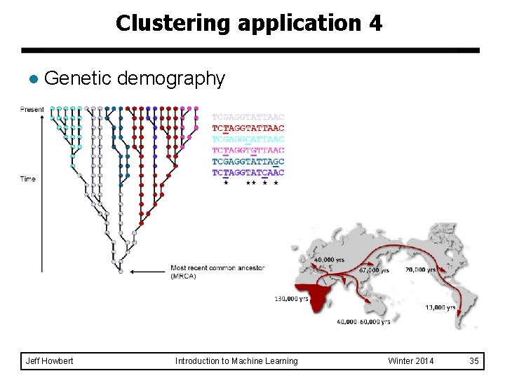 Clustering application 4 l Genetic demography Jeff Howbert Introduction to Machine Learning Winter 2014