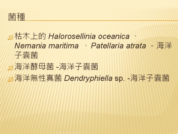 菌種 枯木上的 Halorosellinia oceanica 、 Nemania maritima 、 Patellaria atrata －海洋 子囊菌 海洋酵母菌 -海洋子囊菌